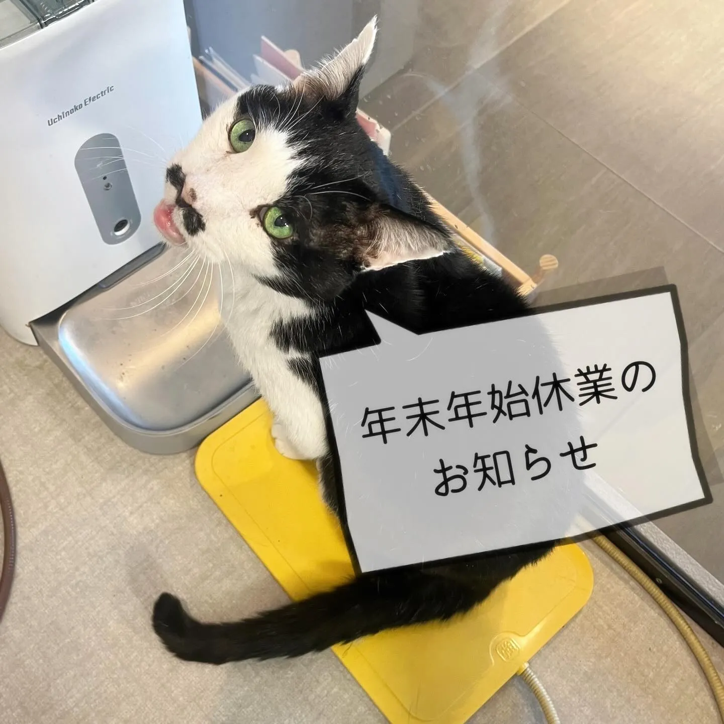 皆様こんにちは😌キング商事です！